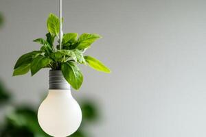 Creative hanging light fixture combines plant life with modern design for a unique home decor element photo