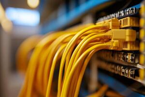 Close-up view of yellow network cables connected to a server in a data center photo