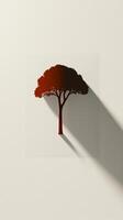 Artistic shadow play of a tree silhouette on a minimalistic wall at dusk showcasing creative design and natural beauty photo
