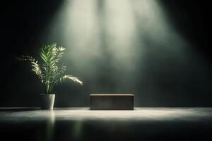 Soft light illuminates a potted plant beside a wooden box in a darkened room with minimalistic decor photo