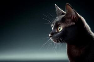 Elegant black cat gazing thoughtfully against a dark background in a serene setting photo