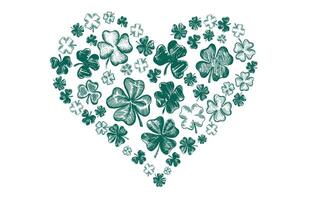 Heart of clover on white background. Patrick's day. Hand drawn style. vector