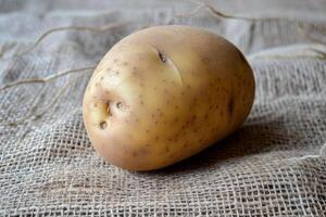 A potato on a sack cloth photo