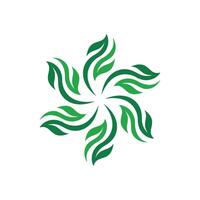 Decorative Star Green Leaves Pattern Logo Template Illustration Design. EPS 10. vector