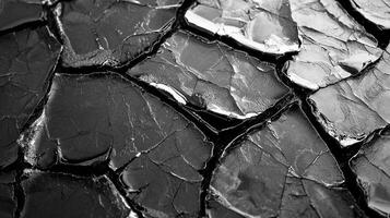 Black and white photo of cracked pavement