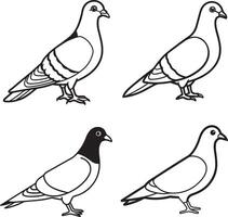 set icon pigeon art image vector