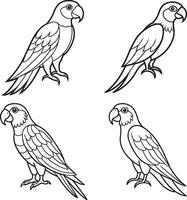 line art icon set macaw bird image vector