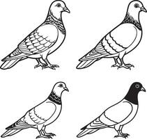 Line art pigeon icon design vector