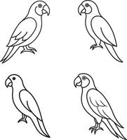 Macaw bird icon design image vector