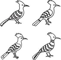 hoopoe icon line art image vector