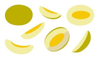 Set of abstract melon. Whole, half and sliced fruit. Vibrant design in a modern, minimal style for textiles, packaging, poster, interior. vector