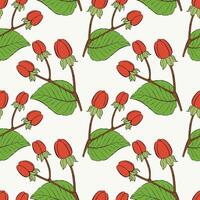 Seamless pattern with red berries, Hypericum Berries, for printing on fabric, textile, wrapping paper, decorative wallpaper, packaging. vector
