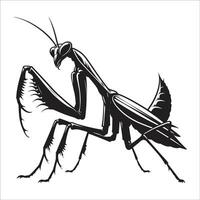 Intricate Praying Mantis Illustration with Distinctive Features and Predatory Posture for Insect Enthusiasts and Nature Design vector