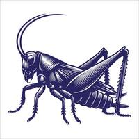 A grasshopper with long legs and long antennae vector