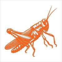 A grasshopper in orange on a white background vector