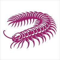 Detailed Purple Centipede Illustration with Curled Segmented Body and Multiple Legs for Nature Enthusiasts vector