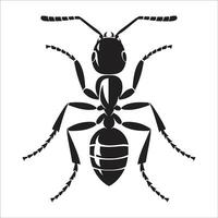 Ant icon on white background vector