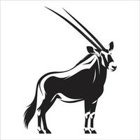 An oryx antelope is standing in front of a white background vector