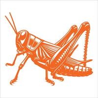A grasshopper in orange on a white background vector