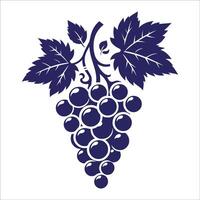 Grapes on a branch vector