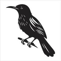 Elegant Black and White Bird Silhouette Perched on Branch with Detailed Feather Patterns for Ornithological Art vector