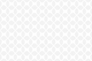 white and grey seamless geometric pattern background vector