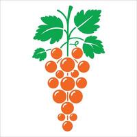 Grapes on a branch vector