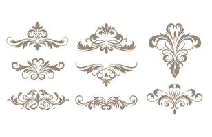 Elegant Ornamental Lines and Fancy Floral Elements Border Collection vector