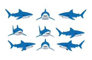 Shark Cartoon Animated Expression Pack Fun Ocean Art vector