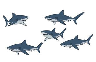 Shark Cartoon Fun Shark Expression Collection Hand-Drawn vector