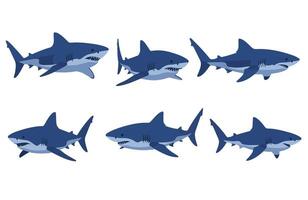 Shark Cartoon Unique Shark Character Art Marine Life vector