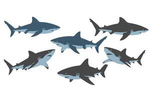 Shark Cartoon Great White Sketch Drawing Creative Design vector