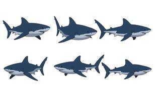 Shark Cartoon Cool Hand-Drawn Shark Expression Sketch vector