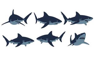 Shark Cartoon Digital Character Ocean Predator Sketch Art vector