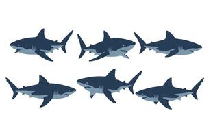Shark Cartoon Sea Creature Artistic Digital Drawing Set vector