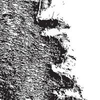 Rough brush stroke grunge texture for handmade appeal vector