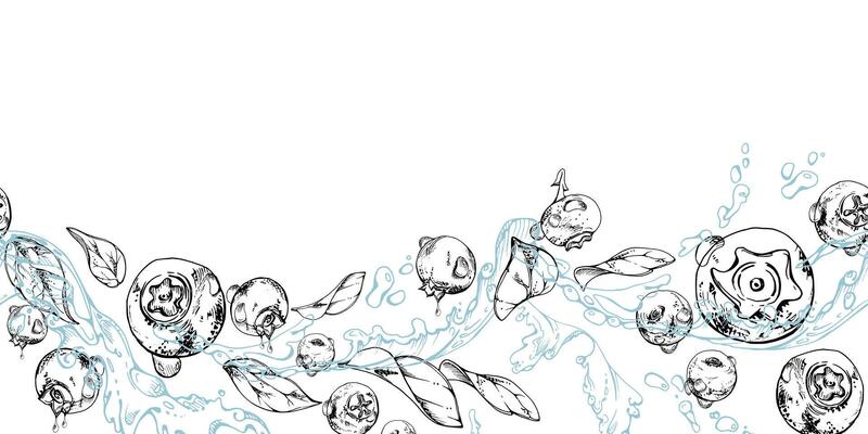Blueberry blackberry flying in water splashes with drops, hand drawn in ink , ripe sketch forest berry and leaves. Seamless banner illustration for restaurant, cafe menu, wedding, farmers market