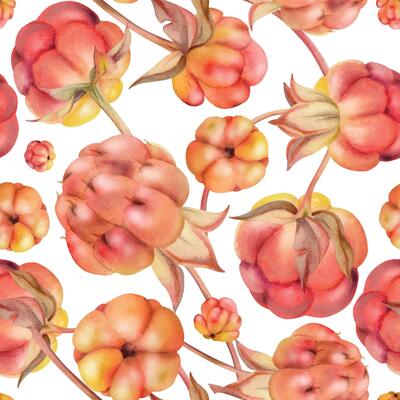 Cloudberry raspberry sloe fruit with dew water drops, forest berry mulberry loganberry boysenberry, hand drawn in watercolor. Seamless pattern tile illustration. Restaurant, cafe menu, farmers market