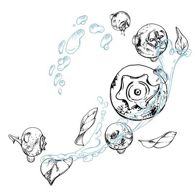 Blueberry blackberry flying in water splash with drops and plant leaves, hand drawn in ink , ripe summer forest berry. Isolated illustration, for restaurant, cafe menu, wedding, farmers market
