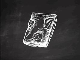 Piece of chocolate with nuts in vintage hand-drawn style on chalkboard background vector