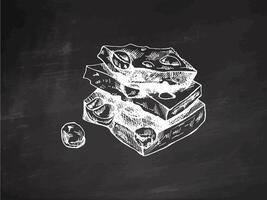 Stack of handmade chocolate pieces with nuts vintage style on chalkboard background vector