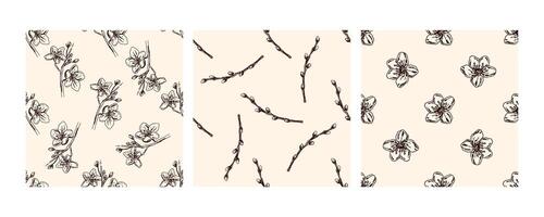 Seamless floral patterns with cherry blossoms and willow branches in brown on beige background vector