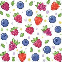 various berries pattern vector