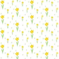 Spring first blooming in a garden flower, yellow daffodil or narcissus, jonquil, hand drawn seamless pattern. vector