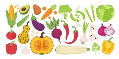 Set of vegetables, fresh vegetables, hand drawn, on white background vector
