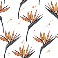 Abstract watercolor Bird of Paradise seamless pattern with splashes and drips on white background Clean vector