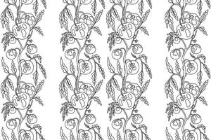 Line art seamless pattern with growing tomatoes illustration. Hand drawn outline repeating vegetables pattern background. Graphic design for Wallpaper Coloring Book Textile Cover Fashion Print vector
