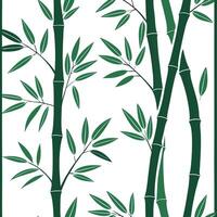 Bamboo and leaves seamless pattern botanical isolated white background perfect for spring textiles branding packaging Clean vector