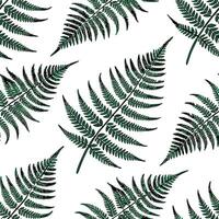 Bohemian fern seamless tile pattern with lush green ferns and intricate details on a white background ideal for eclectic spaces Clean vector