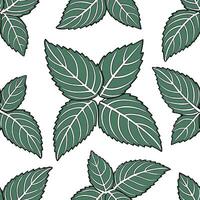 Bohemian herb seamless tile pattern with lush green mint leaves and intricate vein details on a white background ideal for eclectic spaces Clean vector